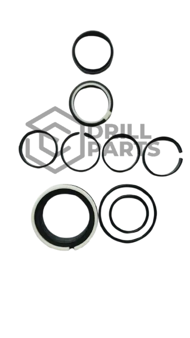 78402210 SEAL KIT GATA DD311 / AXERA 5