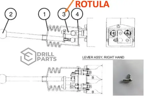 55030221  SOLO ROTULA JUMBO   DD311 / DD310 / DS311