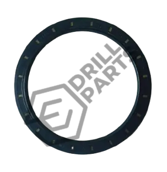 0666719001  SEAL RING COP 1838ME / 1838HD 